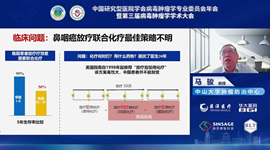 马骏