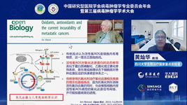 黄灿华